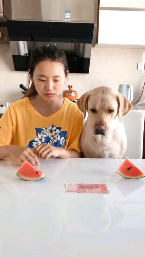 吃瓜比赛视频大全